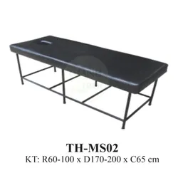 GIƯỜNG MASSAGE SẮT TH-MS02