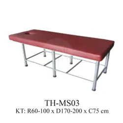 GIƯỜNG MASSAGE SẮT TH-MS03