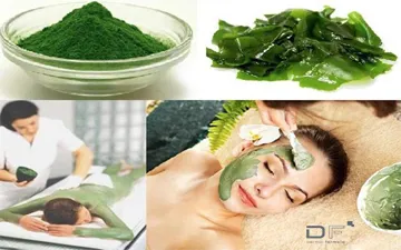 5 Công Dụng Rong Biển - Nguyên Liệu Làm Đẹp 