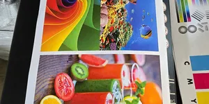 MÁY PHOTOCOPY CHO NGÀNH DU LỊCH | RICOH, TOSHIBA, FUJI, CANON, MÀU