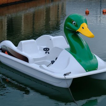 Pedal Boats - Sunny Duck