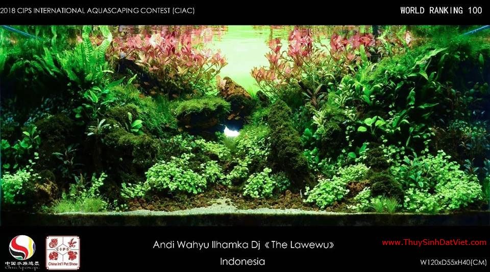 Hồ thủy sinh đạt hạng 100 trong cuộc thi CIAC 2018 Hồ thủy sinh đạt hạng 100 trong cuộc thi CIAC 2018