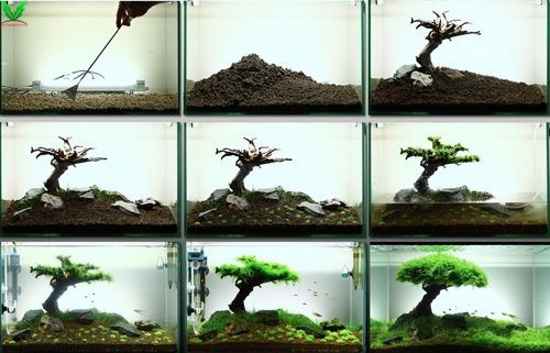 Hình ảnh Rêu Christmas – Rêu X Mas Hình ảnh Rêu Christmas – Rêu X Mas