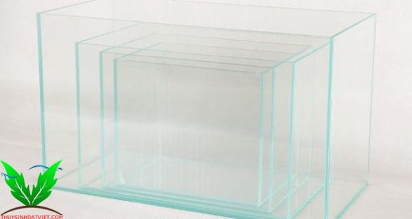 Đặc điểm hồ cá kính siêu trong Đặc điểm hồ cá kính siêu trong