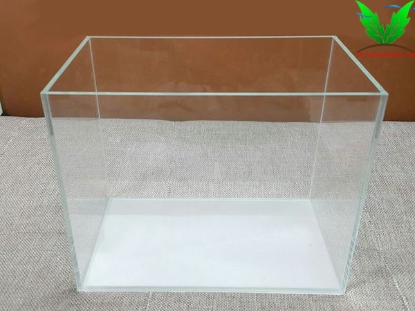 Hồ cá kính siêu trong - hình 2 Hồ cá kính siêu trong - hình 2