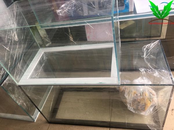 Hình ảnh hồ cá kính siêu trong và kính thường Hình ảnh hồ cá kính siêu trong và kính thường