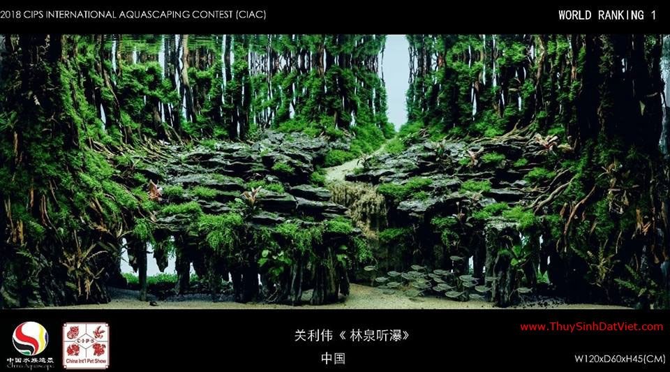 Hồ thủy sinh đạt hạng 1 trong cuộc thi CIAC 2018 Hồ thủy sinh đạt hạng 1 trong cuộc thi CIAC 2018