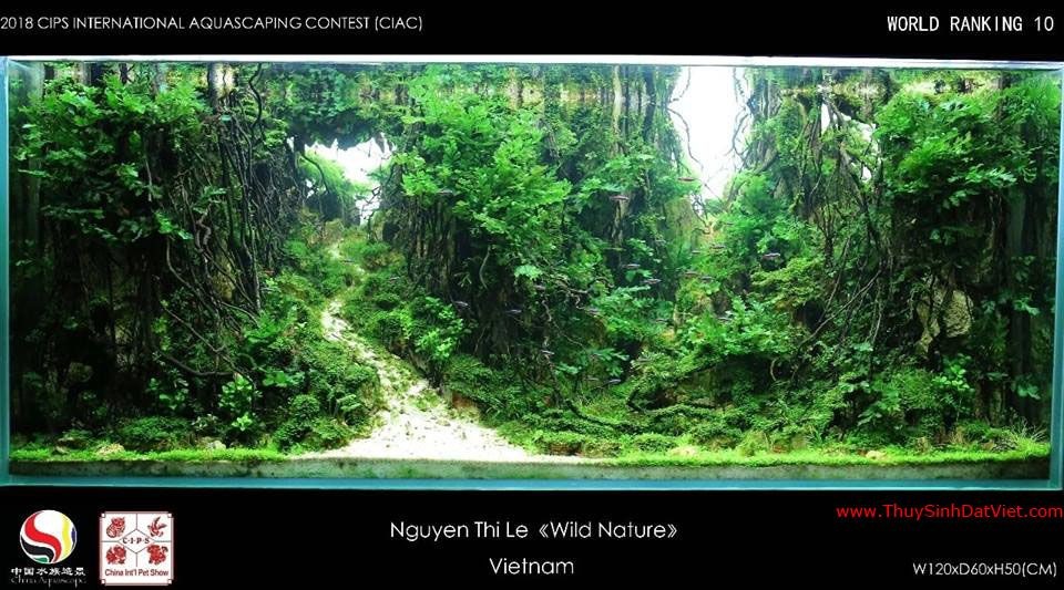 Hồ thủy sinh đạt hạng 10 trong cuộc thi CIAC 2018 Hồ thủy sinh đạt hạng 10 trong cuộc thi CIAC 2018