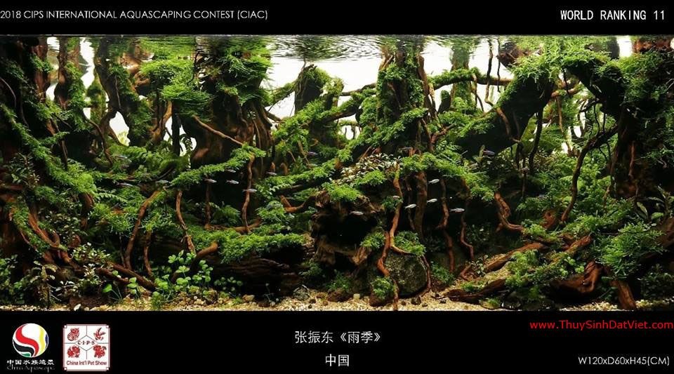 Hồ thủy sinh đạt hạng 11 trong cuộc thi CIAC 2018 Hồ thủy sinh đạt hạng 11 trong cuộc thi CIAC 2018