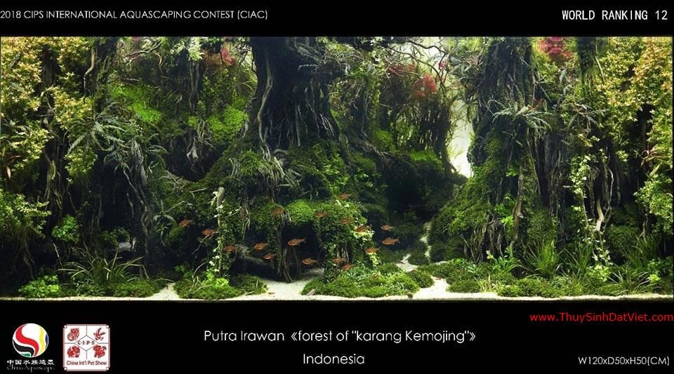 Hồ thủy sinh đạt hạng 12 trong cuộc thi CIAC 2018 Hồ thủy sinh đạt hạng 12 trong cuộc thi CIAC 2018