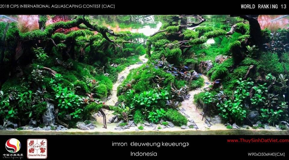 Hồ thủy sinh đạt hạng 13 trong cuộc thi CIAC 2018 Hồ thủy sinh đạt hạng 13 trong cuộc thi CIAC 2018