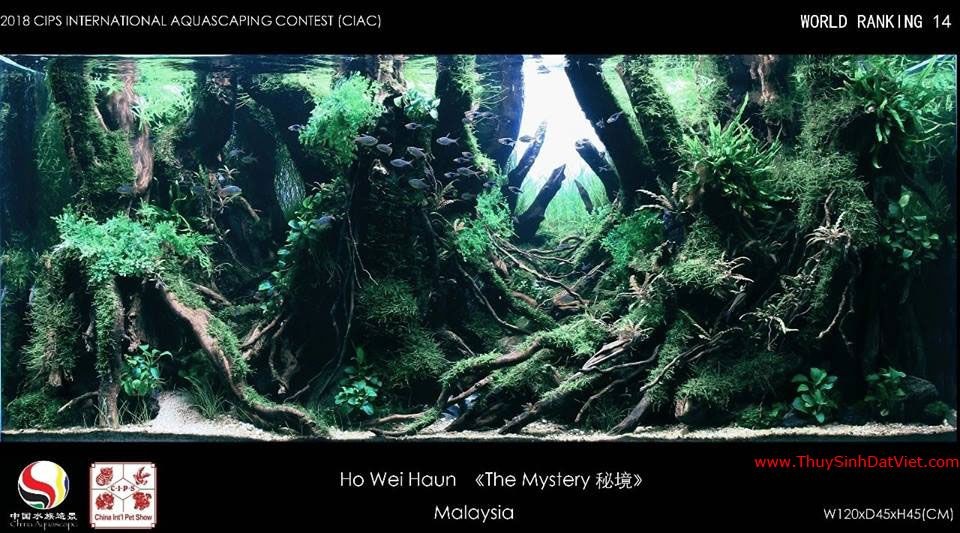 Hồ thủy sinh đạt hạng 14 trong cuộc thi CIAC 2018 Hồ thủy sinh đạt hạng 14 trong cuộc thi CIAC 2018