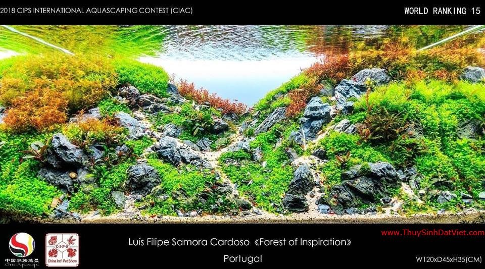 Hồ thủy sinh đạt hạng 15 trong cuộc thi CIAC 2018 Hồ thủy sinh đạt hạng 15 trong cuộc thi CIAC 2018