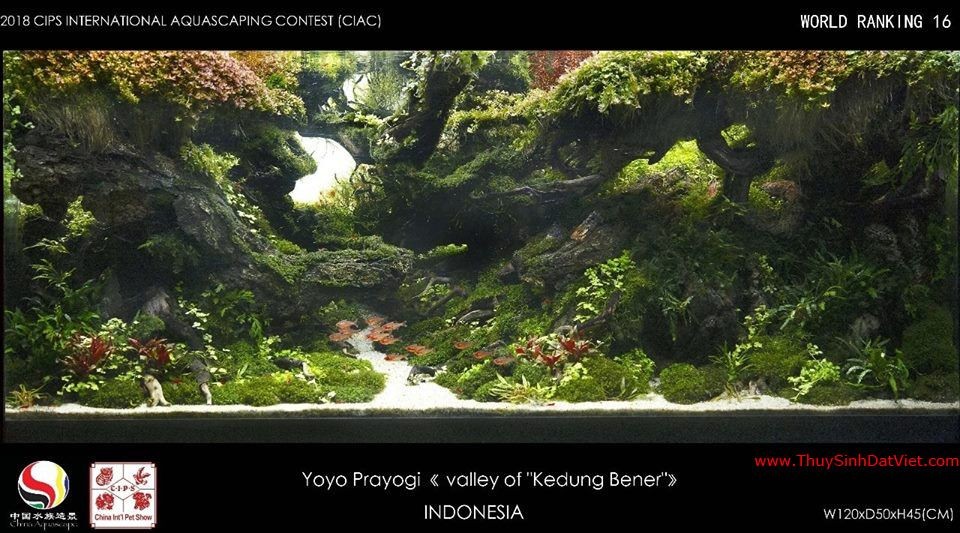 Hồ thủy sinh đạt hạng 16 trong cuộc thi CIAC 2018 Hồ thủy sinh đạt hạng 16 trong cuộc thi CIAC 2018