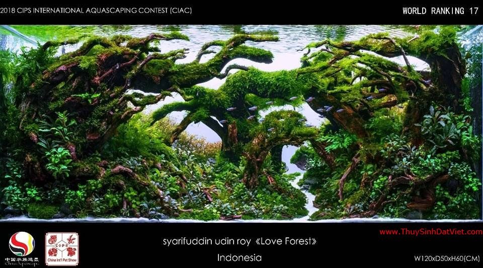 Hồ thủy sinh đạt hạng 17 trong cuộc thi CIAC 2018 Hồ thủy sinh đạt hạng 17 trong cuộc thi CIAC 2018