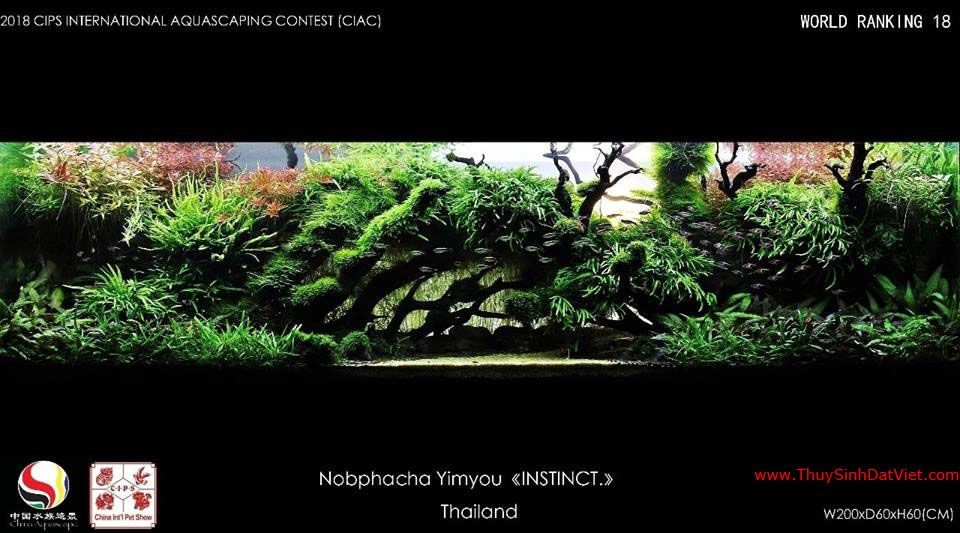 Hồ thủy sinh đạt hạng 18 trong cuộc thi CIAC 2018 Hồ thủy sinh đạt hạng 18 trong cuộc thi CIAC 2018