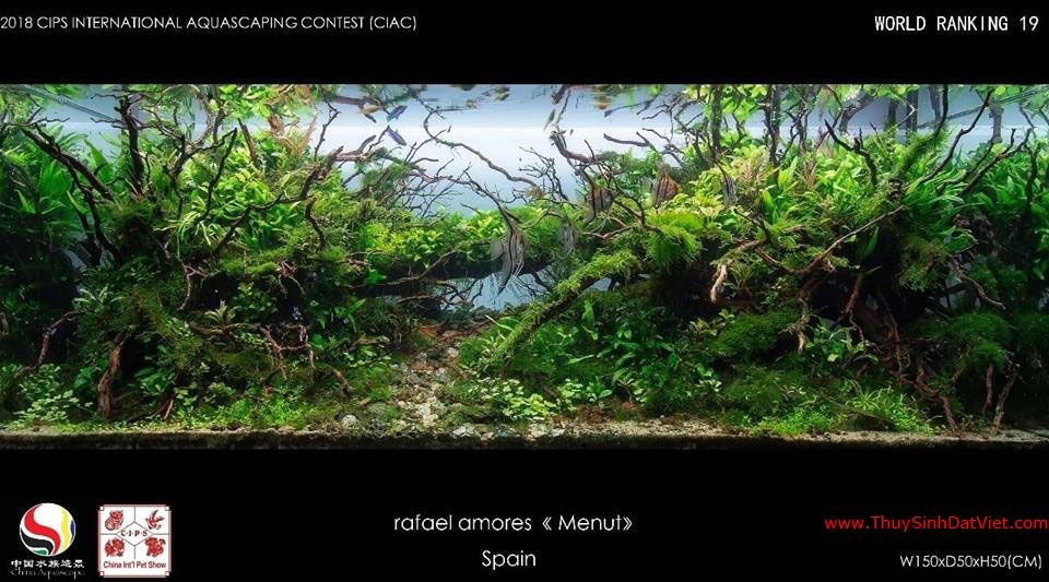 Hồ thủy sinh đạt hạng 19 trong cuộc thi CIAC 2018 Hồ thủy sinh đạt hạng 19 trong cuộc thi CIAC 2018