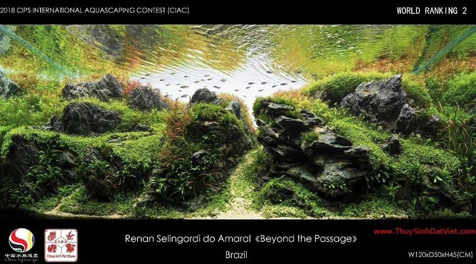 Hồ thủy sinh đạt hạng 2 trong cuộc thi CIAC 2018 Hồ thủy sinh đạt hạng 2 trong cuộc thi CIAC 2018