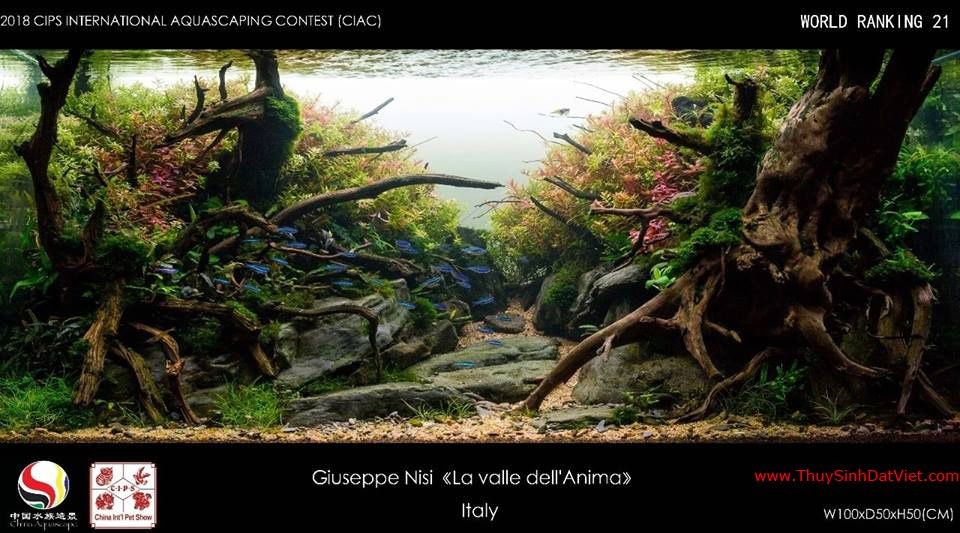 Hồ thủy sinh đạt hạng 21 trong cuộc thi CIAC 2018 Hồ thủy sinh đạt hạng 21 trong cuộc thi CIAC 2018