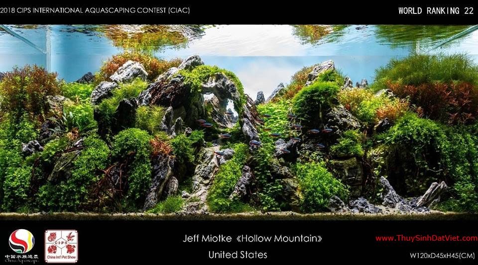 Hồ thủy sinh đạt hạng 22 trong cuộc thi CIAC 2018 Hồ thủy sinh đạt hạng 22 trong cuộc thi CIAC 2018