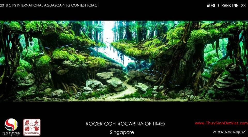 Hồ thủy sinh đạt hạng 23 trong cuộc thi CIAC 2018 Hồ thủy sinh đạt hạng 23 trong cuộc thi CIAC 2018