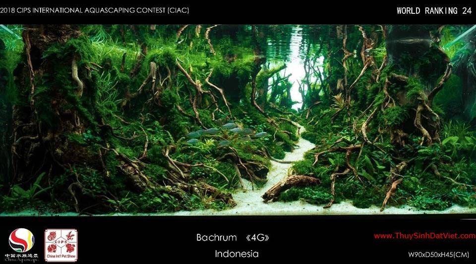 Hồ thủy sinh đạt hạng 24 trong cuộc thi CIAC 2018 Hồ thủy sinh đạt hạng 24 trong cuộc thi CIAC 2018