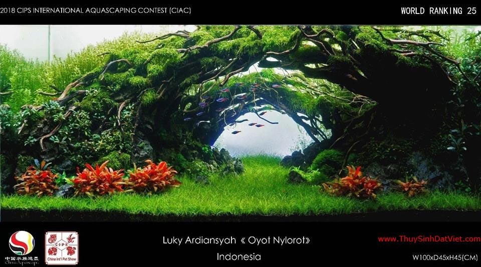 Hồ thủy sinh đạt hạng 25 trong cuộc thi CIAC 2018 Hồ thủy sinh đạt hạng 25 trong cuộc thi CIAC 2018