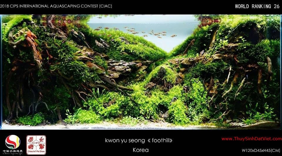 Hồ thủy sinh đạt hạng 26 trong cuộc thi CIAC 2018 Hồ thủy sinh đạt hạng 26 trong cuộc thi CIAC 2018