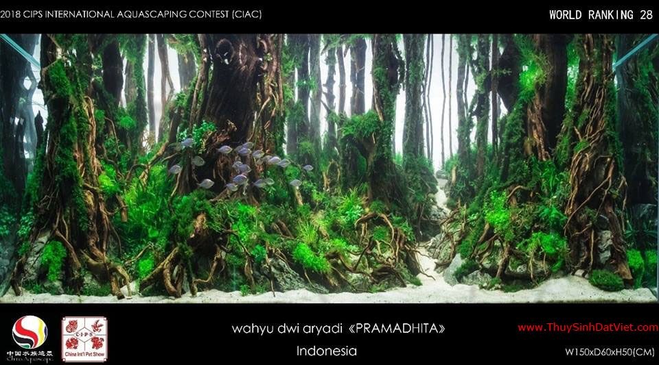 Hồ thủy sinh đạt hạng 28 trong cuộc thi CIAC 2018 Hồ thủy sinh đạt hạng 28 trong cuộc thi CIAC 2018