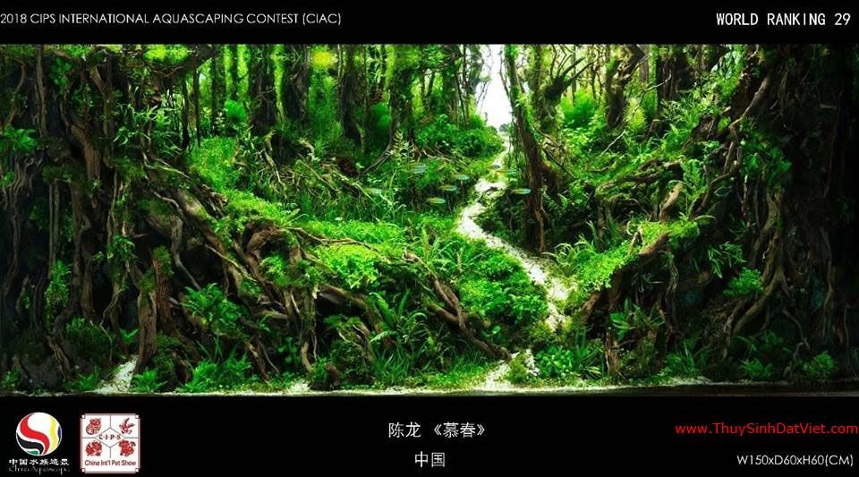 Hồ thủy sinh đạt hạng 29 trong cuộc thi CIAC 2018 Hồ thủy sinh đạt hạng 29 trong cuộc thi CIAC 2018