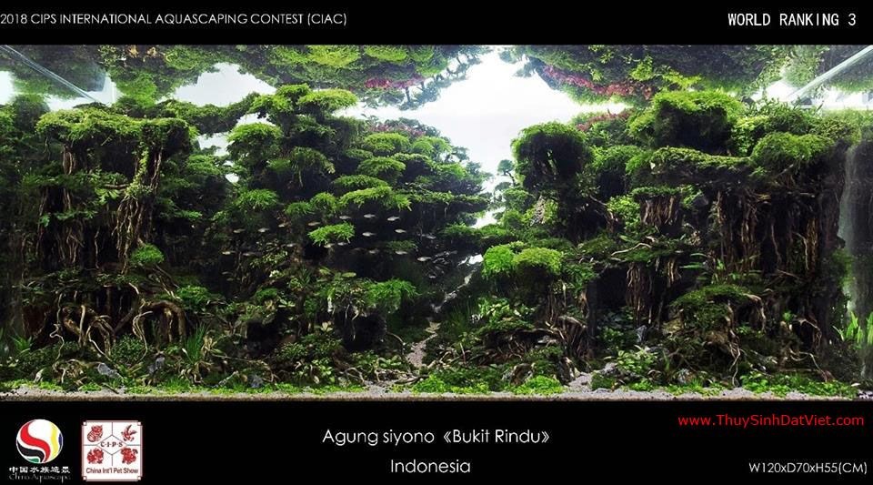 Hồ thủy sinh đạt hạng 3 trong cuộc thi CIAC 2018 Hồ thủy sinh đạt hạng 3 trong cuộc thi CIAC 2018