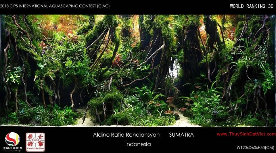 Hồ thủy sinh đạt hạng 30 trong cuộc thi CIAC 2018 Hồ thủy sinh đạt hạng 30 trong cuộc thi CIAC 2018