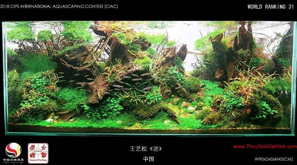 Hồ thủy sinh đạt hạng 31 trong cuộc thi CIAC 2018 Hồ thủy sinh đạt hạng 31 trong cuộc thi CIAC 2018