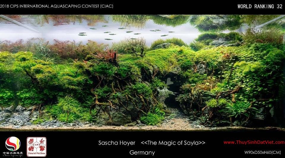 Hồ thủy sinh đạt hạng 32 trong cuộc thi CIAC 2018 Hồ thủy sinh đạt hạng 32 trong cuộc thi CIAC 2018