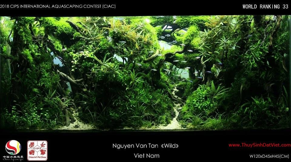 Hồ thủy sinh đạt hạng 33 trong cuộc thi CIAC 2018 Hồ thủy sinh đạt hạng 33 trong cuộc thi CIAC 2018