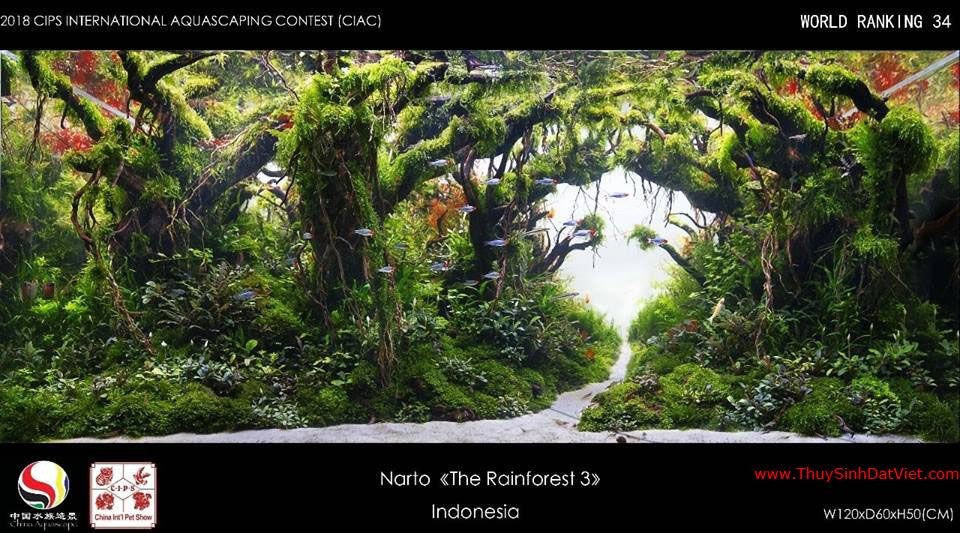 Hồ thủy sinh đạt hạng 34 trong cuộc thi CIAC 2018 Hồ thủy sinh đạt hạng 34 trong cuộc thi CIAC 2018