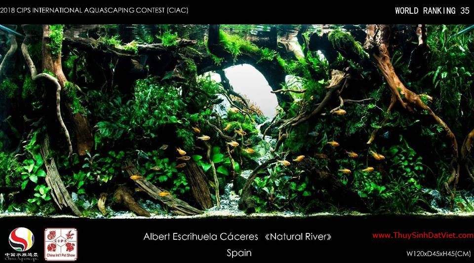 Hồ thủy sinh đạt hạng 35 trong cuộc thi CIAC 2018 Hồ thủy sinh đạt hạng 35 trong cuộc thi CIAC 2018