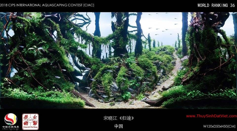 Hồ thủy sinh đạt hạng 36 trong cuộc thi CIAC 2018 Hồ thủy sinh đạt hạng 36 trong cuộc thi CIAC 2018