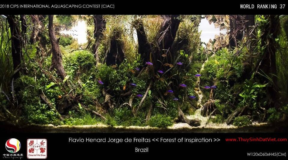 Hồ thủy sinh đạt hạng 37 trong cuộc thi CIAC 2018 Hồ thủy sinh đạt hạng 37 trong cuộc thi CIAC 2018