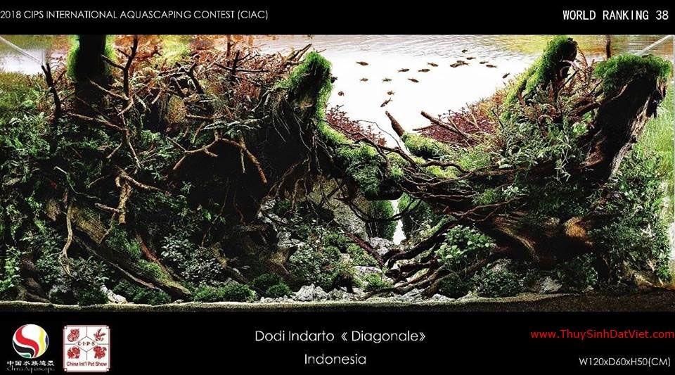 Hồ thủy sinh đạt hạng 38 trong cuộc thi CIAC 2018 Hồ thủy sinh đạt hạng 38 trong cuộc thi CIAC 2018