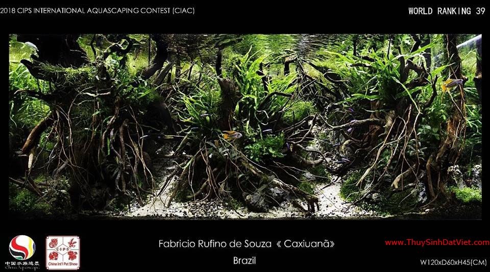 Hồ thủy sinh đạt hạng 39 trong cuộc thi CIAC 2018 Hồ thủy sinh đạt hạng 39 trong cuộc thi CIAC 2018