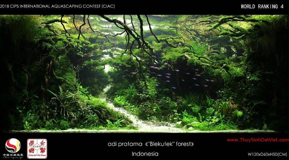 Hồ thủy sinh đạt hạng 4 trong cuộc thi CIAC 2018 Hồ thủy sinh đạt hạng 4 trong cuộc thi CIAC 2018