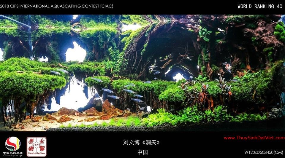 Hồ thủy sinh đạt hạng 40 trong cuộc thi CIAC 2018 Hồ thủy sinh đạt hạng 40 trong cuộc thi CIAC 2018