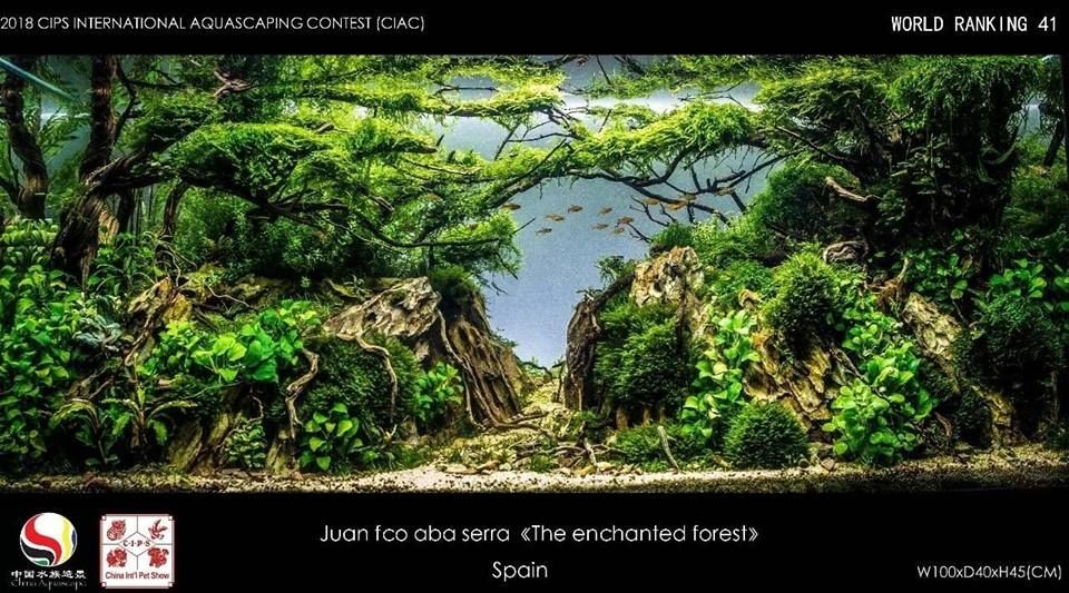 Hồ thủy sinh đạt hạng 41 trong cuộc thi CIAC 2018 Hồ thủy sinh đạt hạng 41 trong cuộc thi CIAC 2018