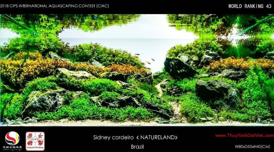 Hồ thủy sinh đạt hạng 43 trong cuộc thi CIAC 2018 Hồ thủy sinh đạt hạng 43 trong cuộc thi CIAC 2018
