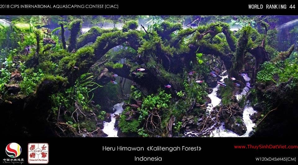 Hồ thủy sinh đạt hạng 44 trong cuộc thi CIAC 2018 Hồ thủy sinh đạt hạng 44 trong cuộc thi CIAC 2018