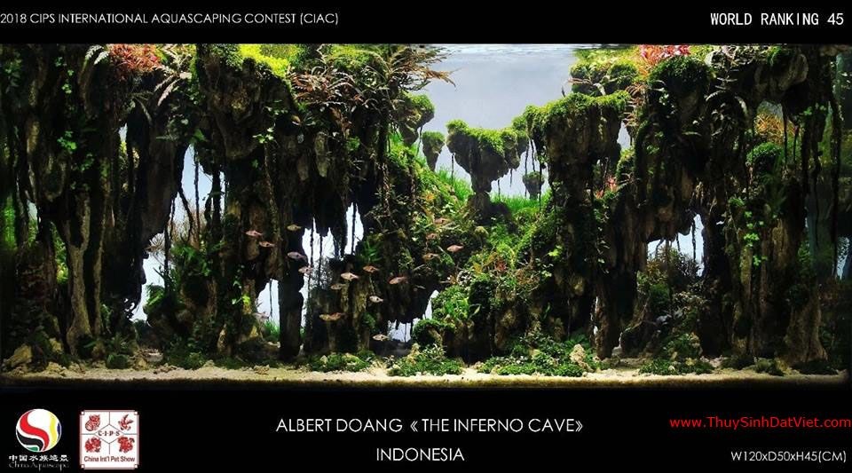 Hồ thủy sinh đạt hạng 45 trong cuộc thi CIAC 2018 Hồ thủy sinh đạt hạng 45 trong cuộc thi CIAC 2018