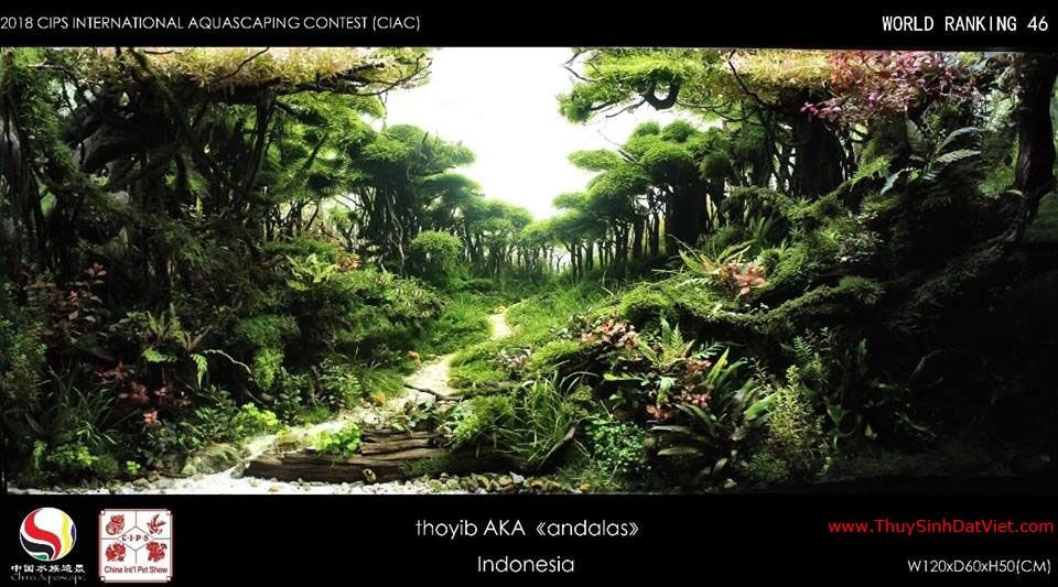 Hồ thủy sinh đạt hạng 46 trong cuộc thi CIAC 2018 Hồ thủy sinh đạt hạng 46 trong cuộc thi CIAC 2018