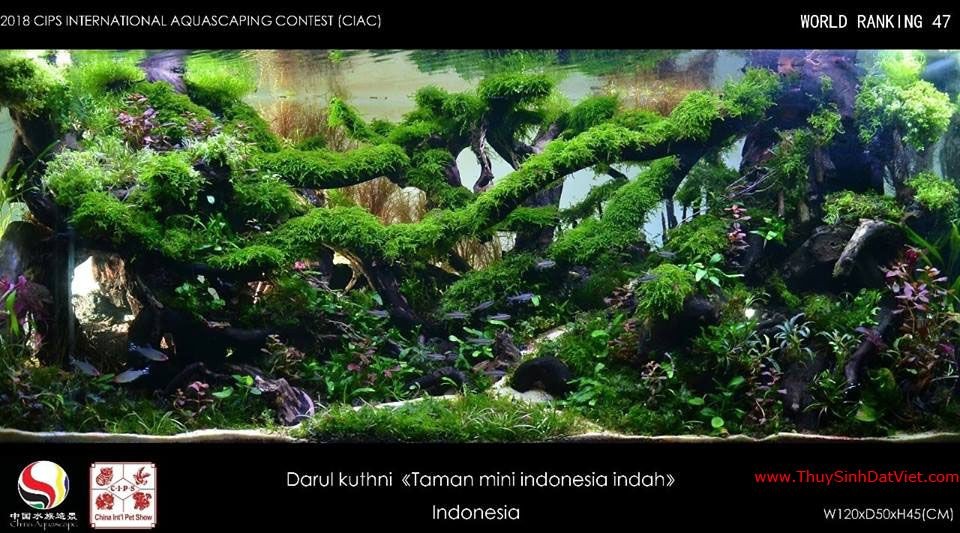 Hồ thủy sinh đạt hạng 47 trong cuộc thi CIAC 2018 Hồ thủy sinh đạt hạng 47 trong cuộc thi CIAC 2018