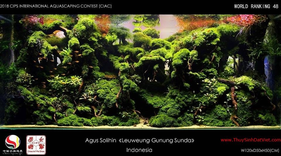 Hồ thủy sinh đạt hạng 48 trong cuộc thi CIAC 2018 Hồ thủy sinh đạt hạng 48 trong cuộc thi CIAC 2018